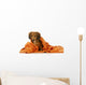 Dog Bath Wall Decal