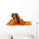 Dog Bath Wall Decal