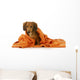Dog Bath Wall Decal