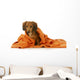 Dog Bath Wall Decal
