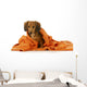 Dog Bath Wall Decal