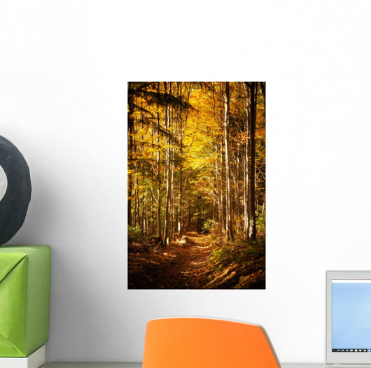 Beautiful Autumn Woods Landscape