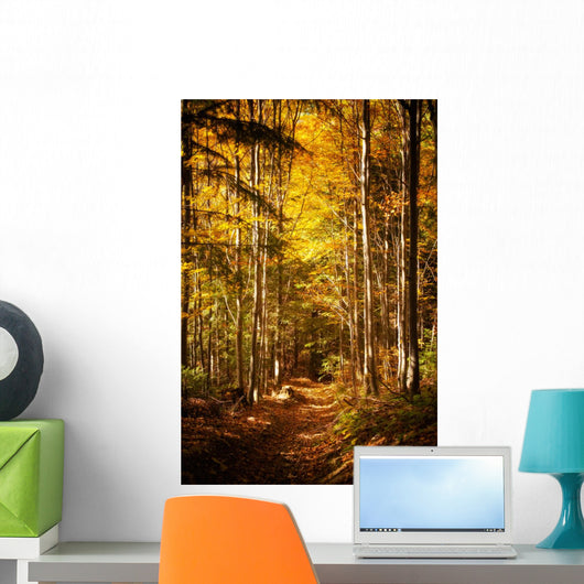 Beautiful Autumn Woods Landscape