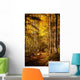 Beautiful Autumn Woods Landscape