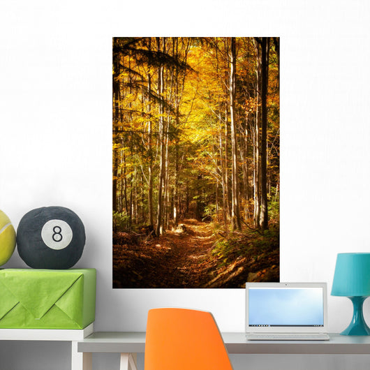 Beautiful Autumn Woods Landscape