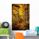 Beautiful Autumn Woods Landscape