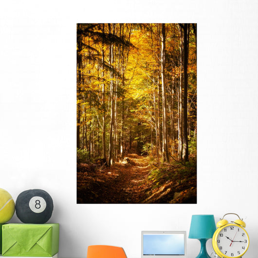 Beautiful Autumn Woods Landscape