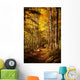 Beautiful Autumn Woods Landscape