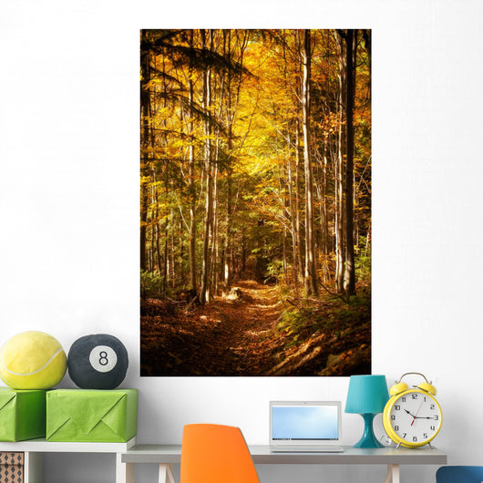 Beautiful Autumn Woods Landscape