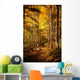 Beautiful Autumn Woods Landscape