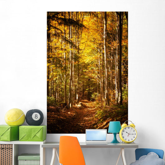 Beautiful Autumn Woods Landscape
