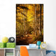 Beautiful Autumn Woods Landscape