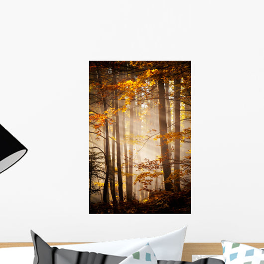 Beautiful Autumn Woods Landscape