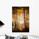 Beautiful Autumn Woods Landscape