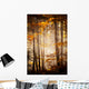 Beautiful Autumn Woods Landscape