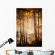 Beautiful Autumn Woods Landscape