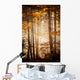 Beautiful Autumn Woods Landscape