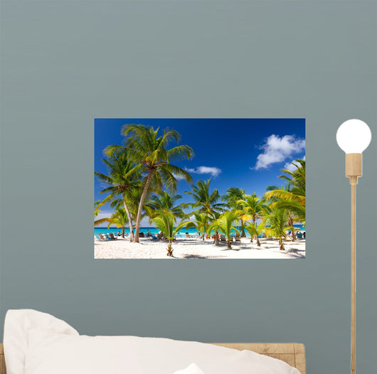 Tropical Beach Saona Island