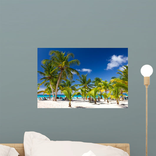 Tropical Beach Saona Island