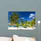 Tropical Beach Saona Island