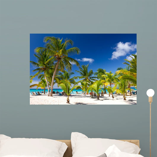Tropical Beach Saona Island