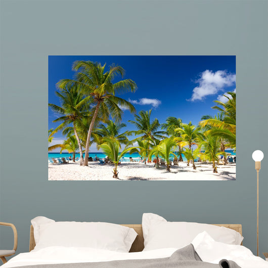 Tropical Beach Saona Island