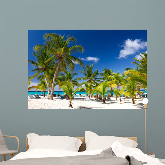 Tropical Beach Saona Island