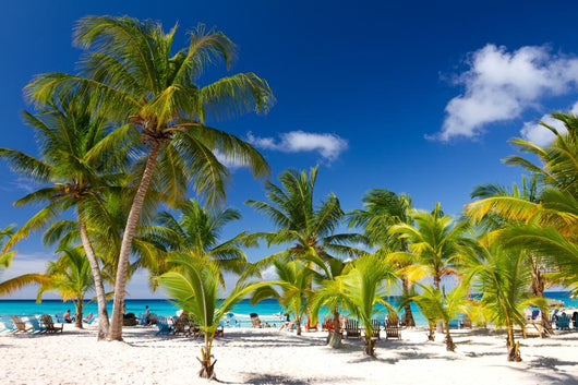 Tropical Beach Saona Island