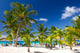 Tropical Beach Saona Island