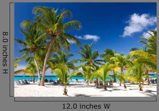Tropical Beach Saona Island