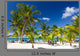 Tropical Beach Saona Island