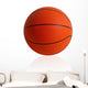 Basket and basketball the world favorite sports isolated Wall Decal
