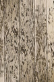 Peeling Paint Wood Texture