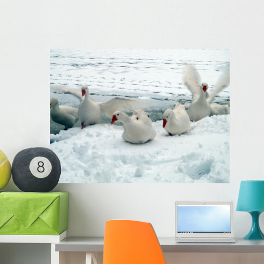 winter Wall Mural