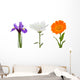 Flowers collection Wall Decal