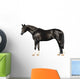trakehner stallion on white Wall Decal