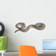 Rosy Boa on White Background Wall Decal