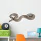 Rosy Boa on White Background Wall Decal