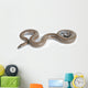Rosy Boa on White Background Wall Decal