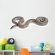 Rosy Boa on White Background Wall Decal