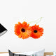 Orange Gerbera Wall Decal