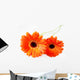 Orange Gerbera Wall Decal