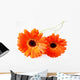 Orange Gerbera Wall Decal