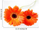 Orange Gerbera Wall Decal