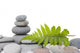 Stack of Stones with Green Fern Leaf Wall Decal