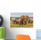 Elephant Herd