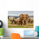 Elephant Herd