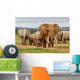 Elephant Herd