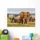 Elephant Herd