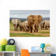 Elephant Herd